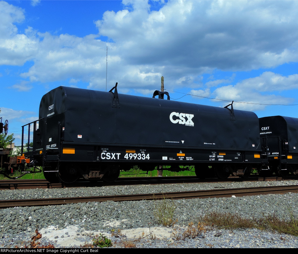 CSX 499334